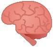 脳への血流