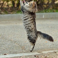 【猫背を治す方法】姿勢が良くなるシンプルな習慣